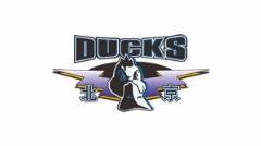 北京隊(duì)總決賽前兩場(chǎng)主場(chǎng)門(mén)票明日開(kāi)售 最低180元最高1980元