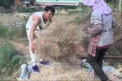 矣進(jìn)宏干農(nóng)活：堅持到底，只為當(dāng)初的選擇