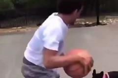 還是你會玩特雷-楊遭遇小黑狗狗防守，花式運球戲耍+嘲諷~