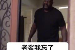 大鯊魚終于入手了一輛適合自己尺寸的汽車，奧胖：我太難了