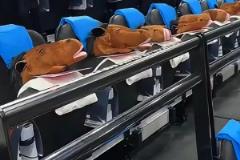 太有梗了！快船主場(chǎng)給觀眾發(fā)放帽子馬搞約基奇心態(tài)