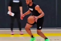 布朗尼本賽季的工資 實際到手可能不夠他花？